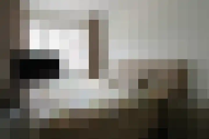Zilverschat 10 Cuijk thumbnail 19
