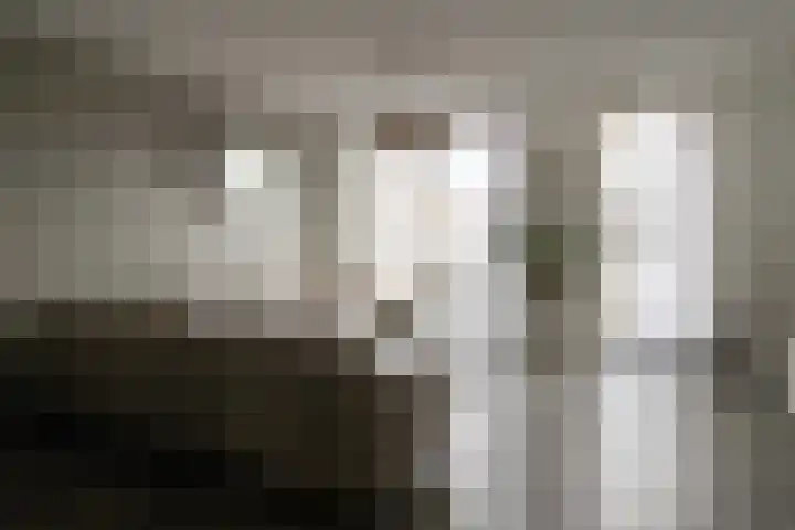 Zilverschat 10 Cuijk foto 2