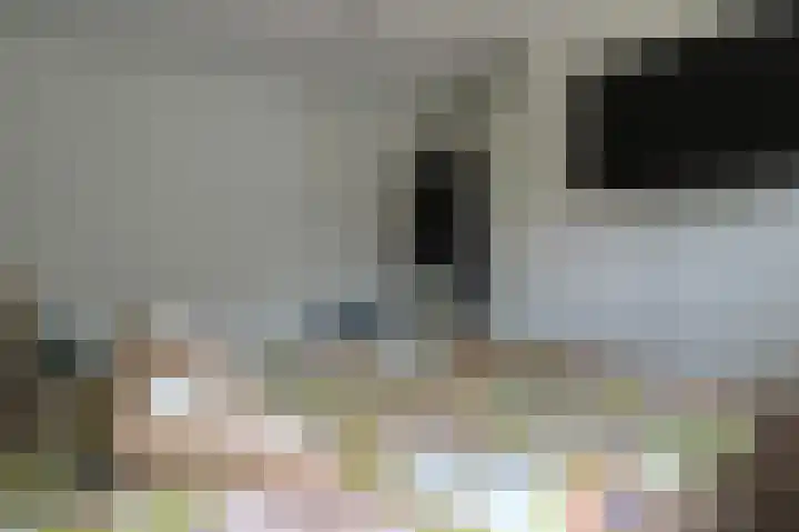 Zilverschat 10 Cuijk thumbnail 20