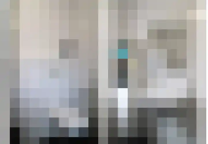 Zilverschat 10 Cuijk thumbnail 22