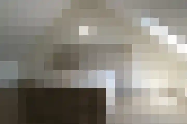 Zilverschat 10 Cuijk thumbnail 23