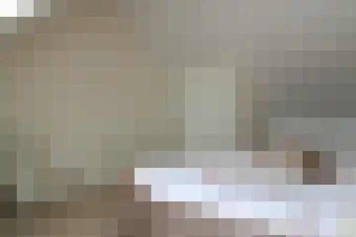 Zilverschat 10 Cuijk thumbnail 24