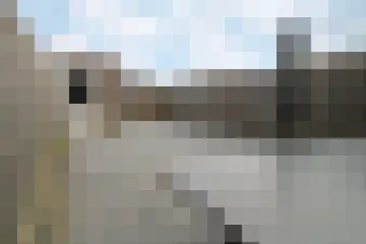 Zilverschat 10 Cuijk thumbnail 25