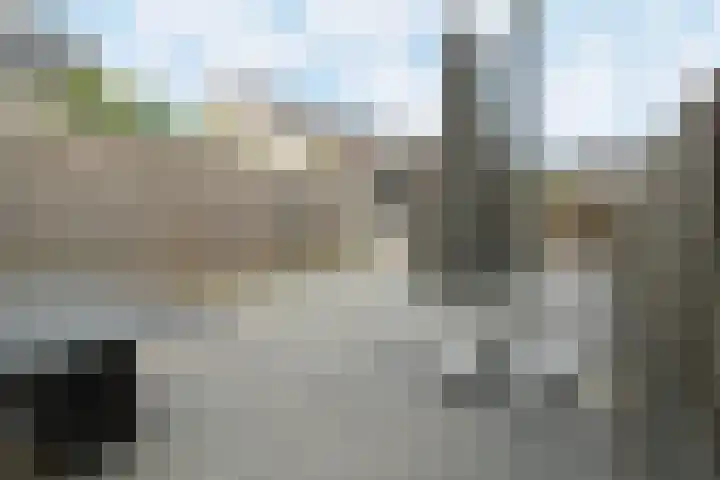 Zilverschat 10 Cuijk thumbnail 26