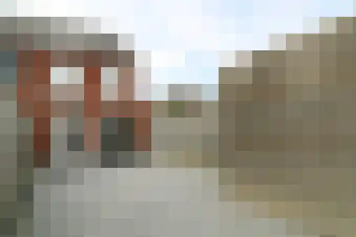 Zilverschat 10 Cuijk thumbnail 27