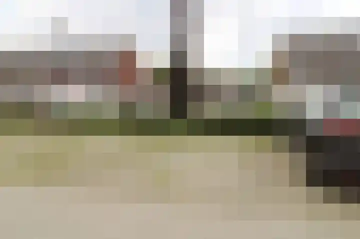 Zilverschat 10 Cuijk thumbnail 28