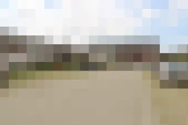 Zilverschat 10 Cuijk thumbnail 29