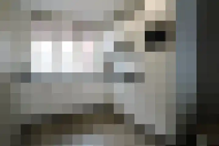 Zilverschat 10 Cuijk foto 3