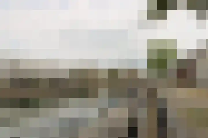 Zilverschat 10 Cuijk thumbnail 31