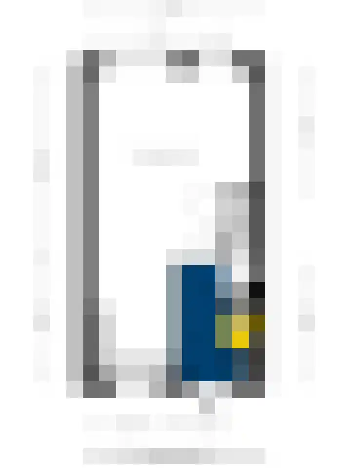 Zilverschat 10 Cuijk thumbnail 35