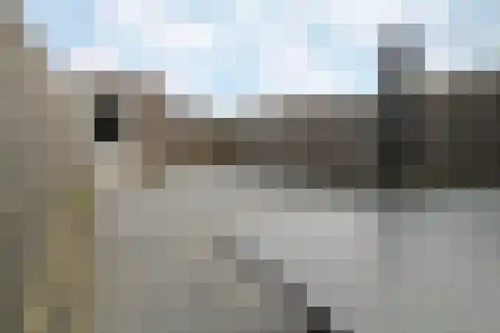 Zilverschat 10 Cuijk thumbnail 4