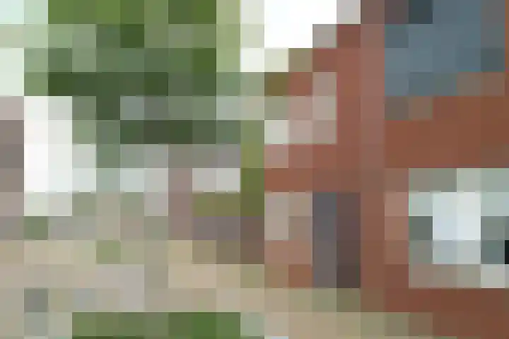 Zilverschat 10 Cuijk thumbnail 6