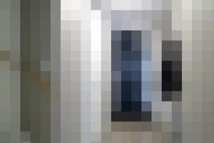Zilverschat 10 Cuijk thumbnail 7