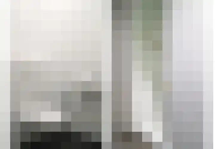 Zilverschat 10 Cuijk thumbnail 8