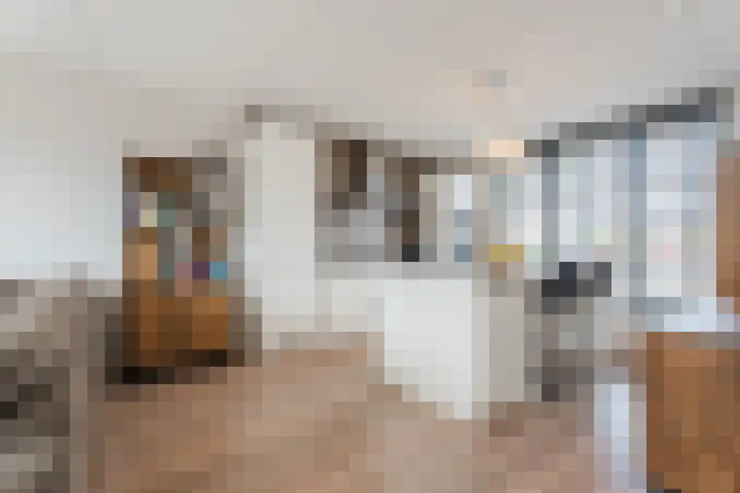 Zilverschat 14 Cuijk thumbnail 11