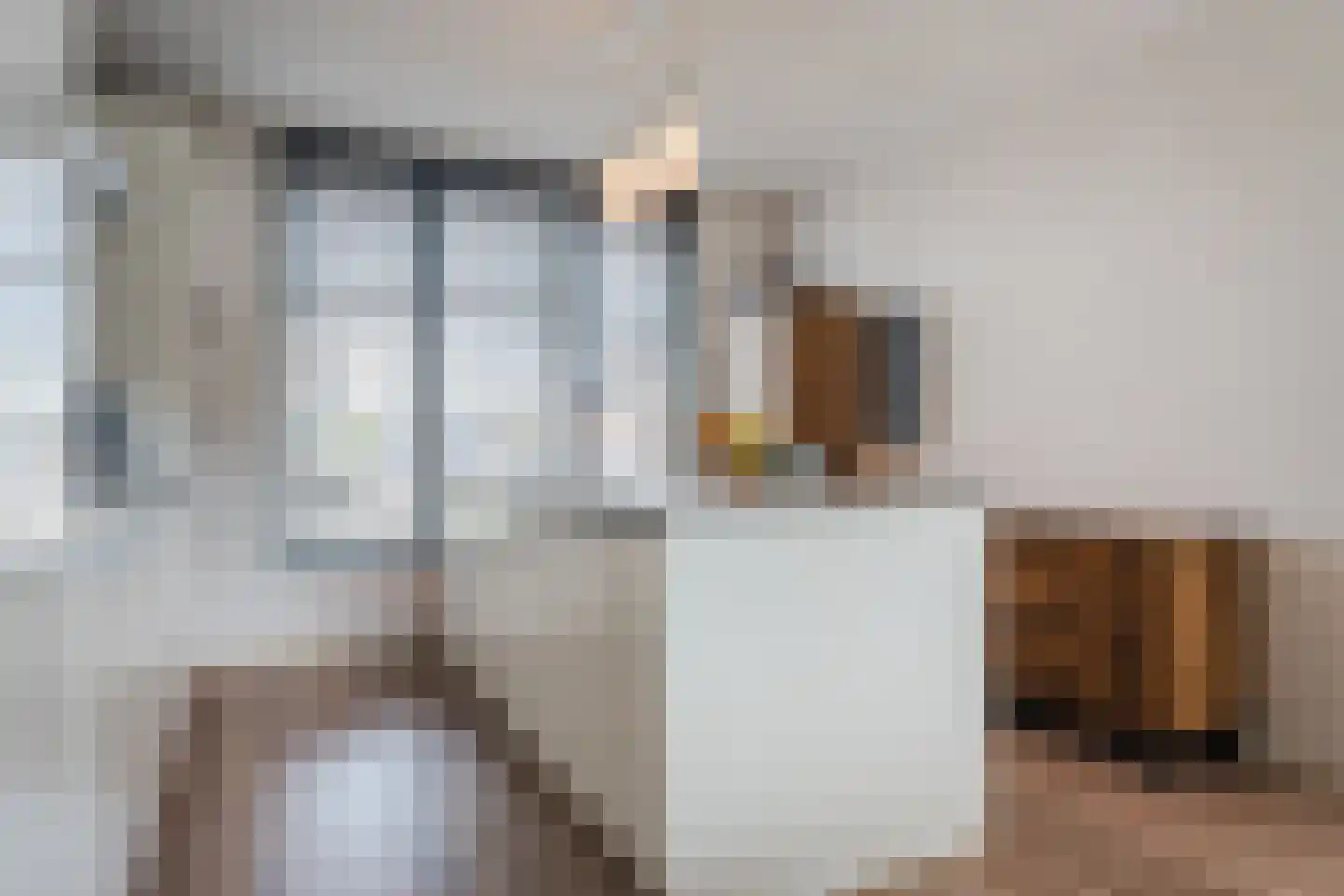 Zilverschat 14 Cuijk thumbnail 12