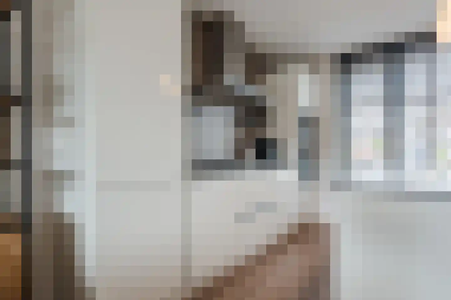 Zilverschat 14 Cuijk thumbnail 13