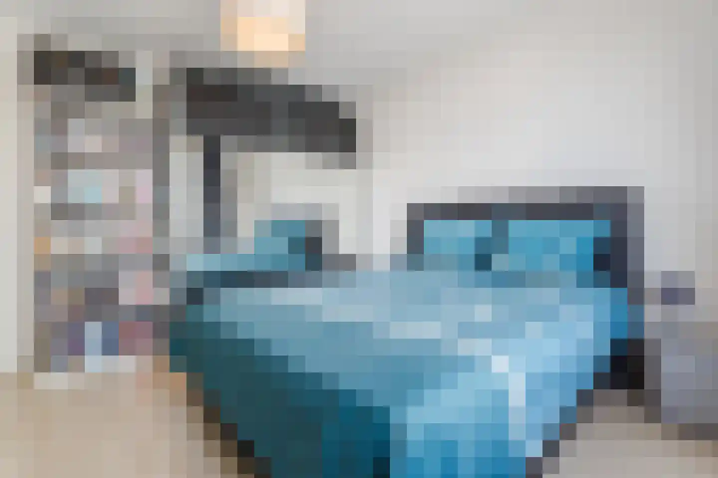 Zilverschat 14 Cuijk thumbnail 15