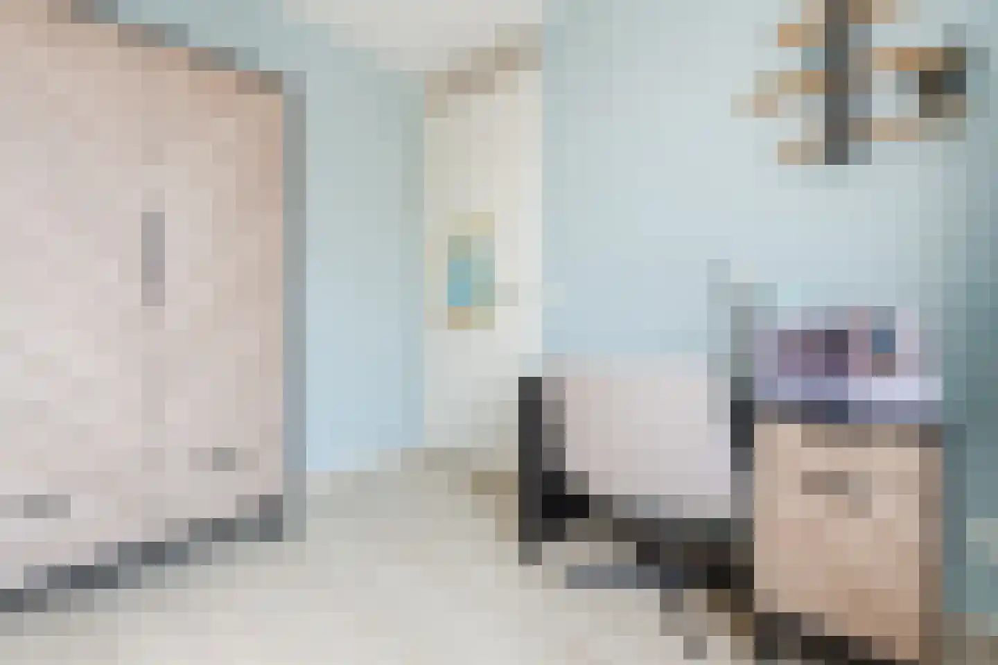 Zilverschat 14 Cuijk thumbnail 17