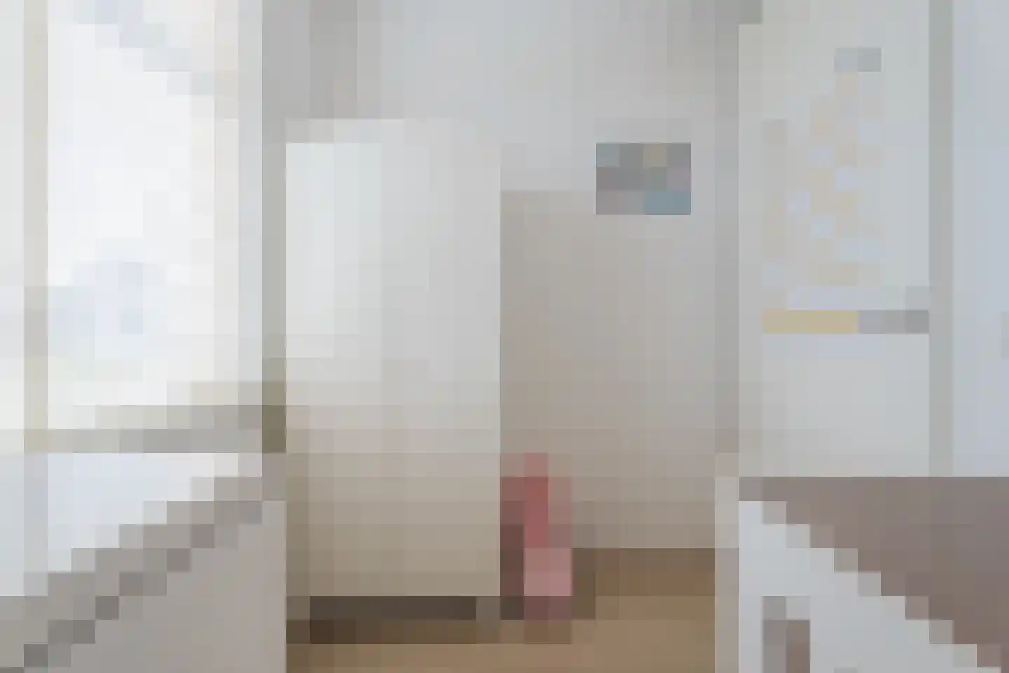 Zilverschat 14 Cuijk thumbnail 19