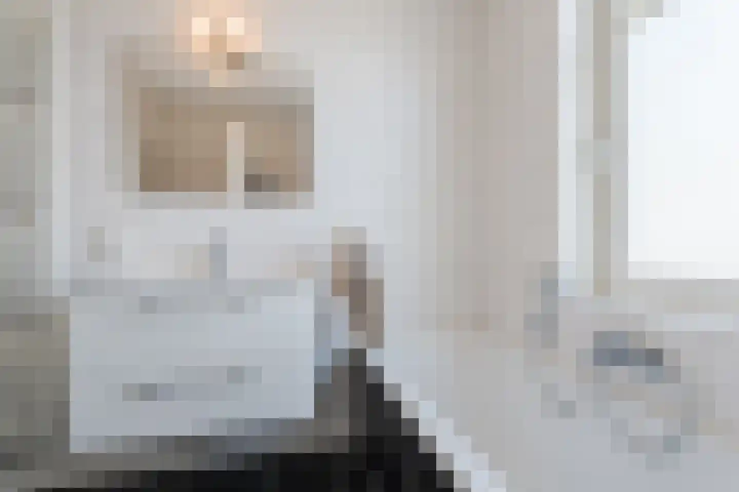 Zilverschat 14 Cuijk thumbnail 22
