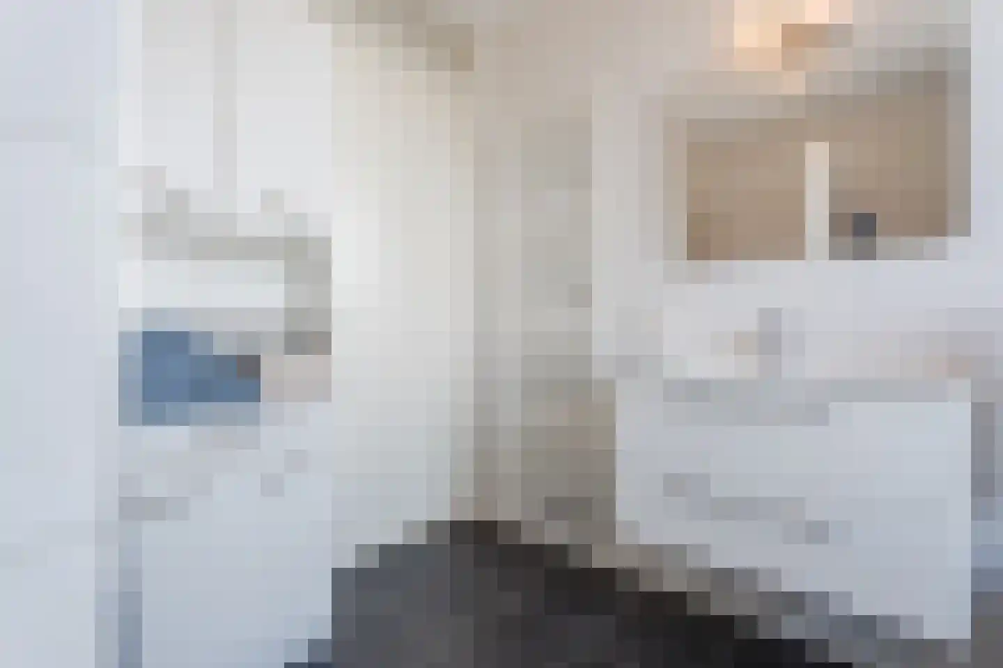 Zilverschat 14 Cuijk thumbnail 23