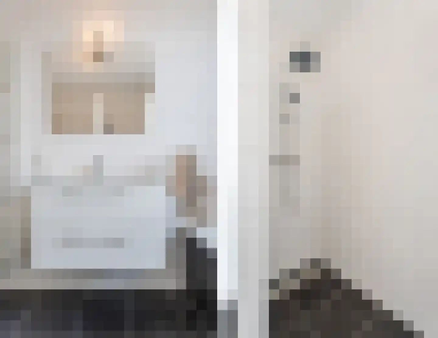 Zilverschat 14 Cuijk thumbnail 24