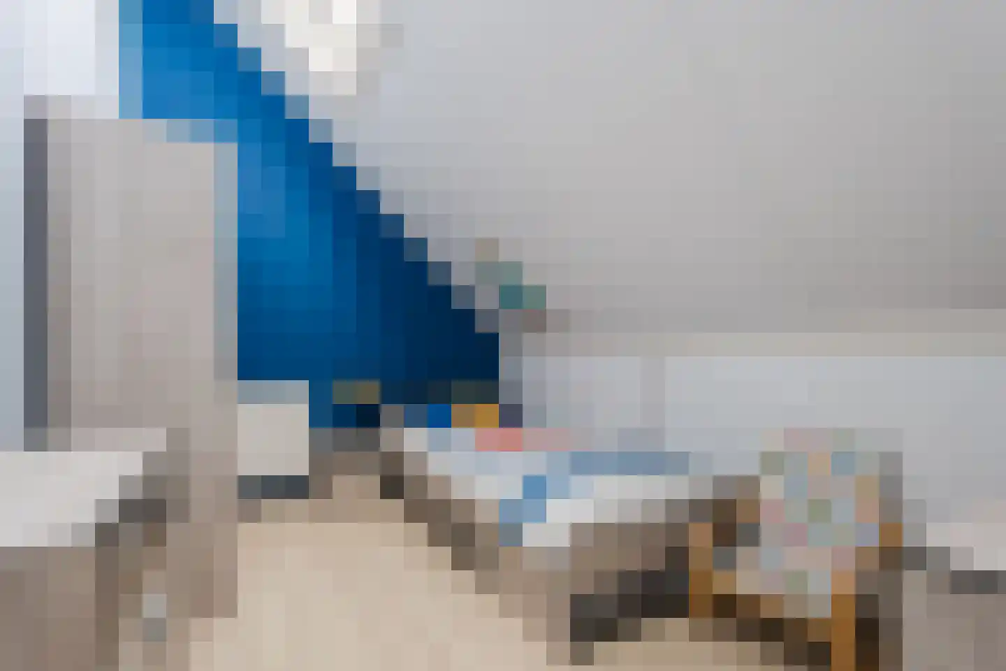 Zilverschat 14 Cuijk thumbnail 25