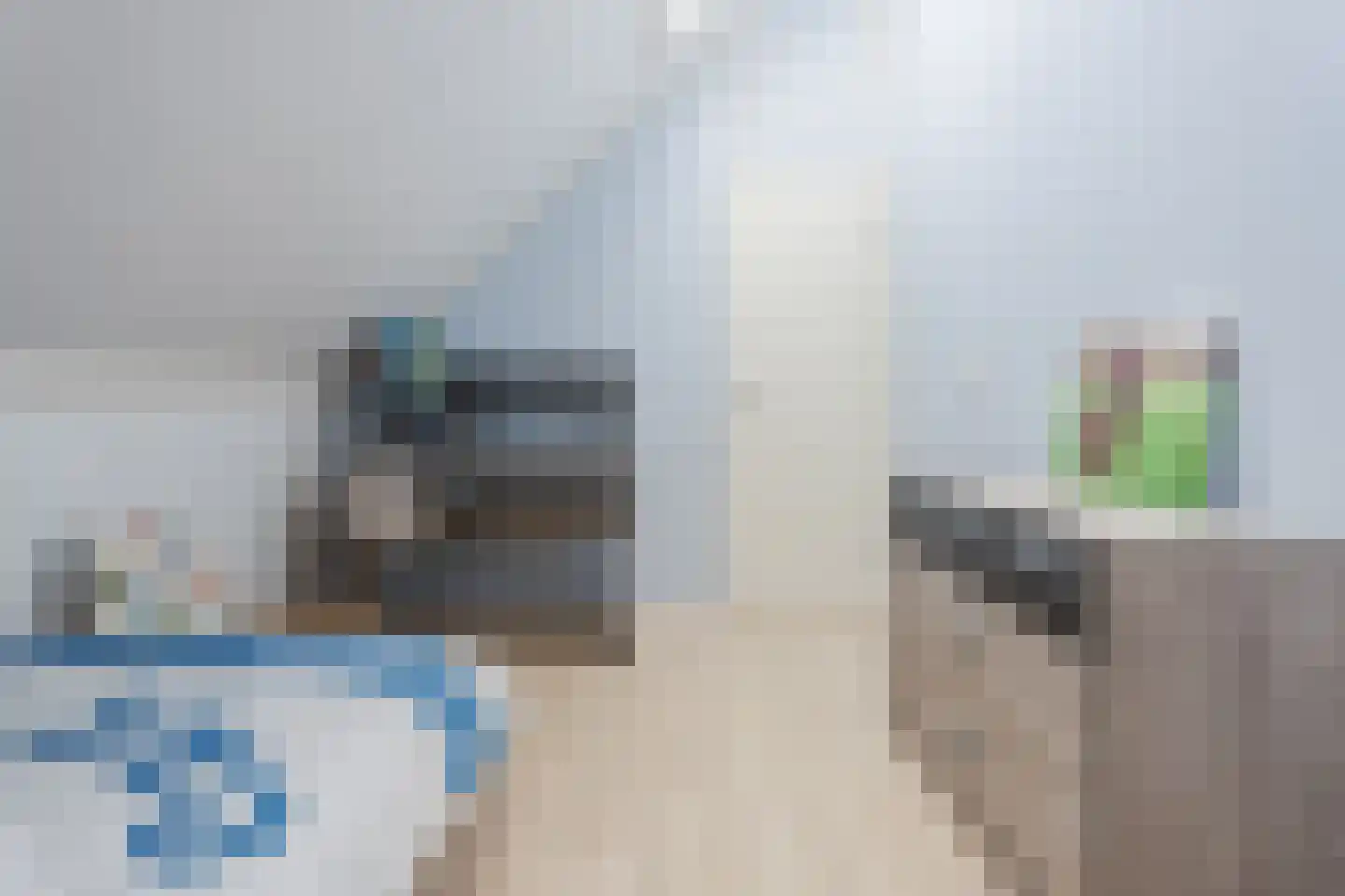 Zilverschat 14 Cuijk thumbnail 26