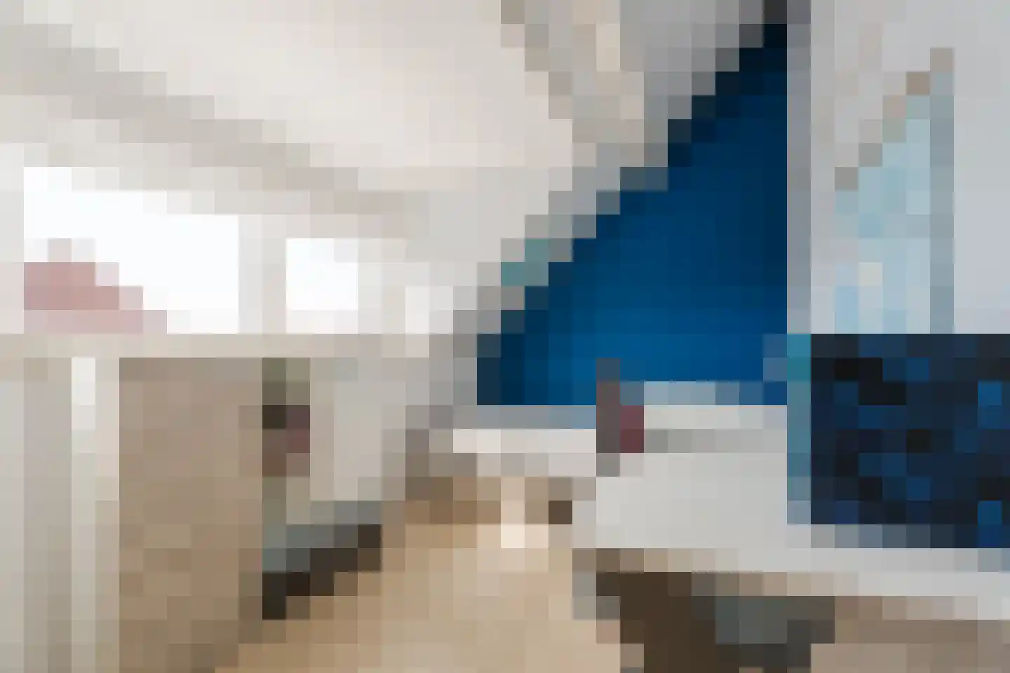 Zilverschat 14 Cuijk thumbnail 27
