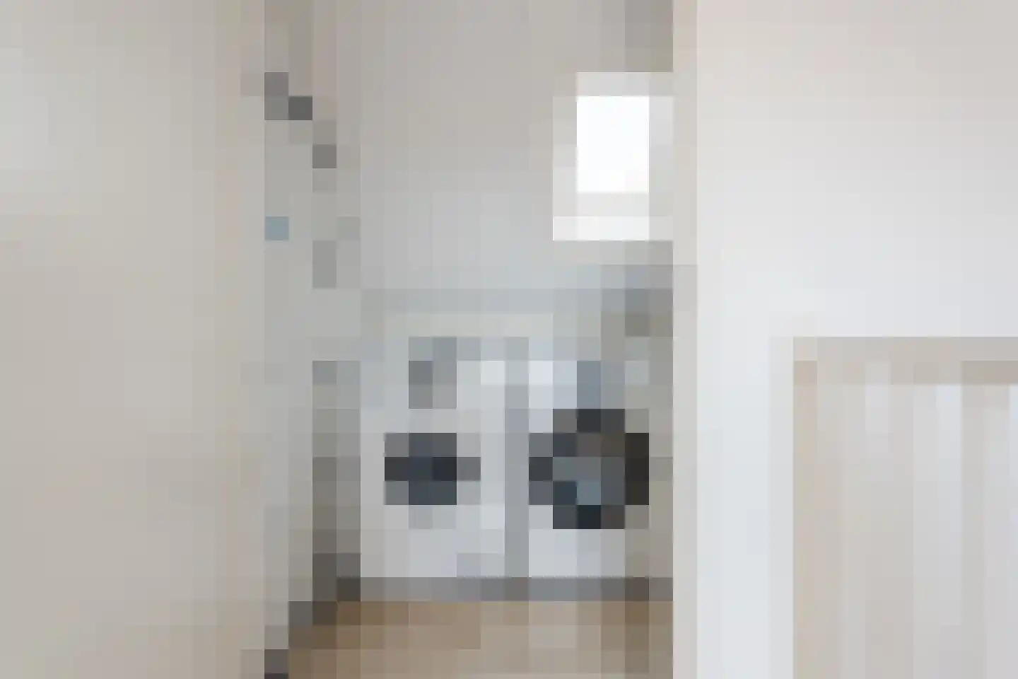 Zilverschat 14 Cuijk thumbnail 29