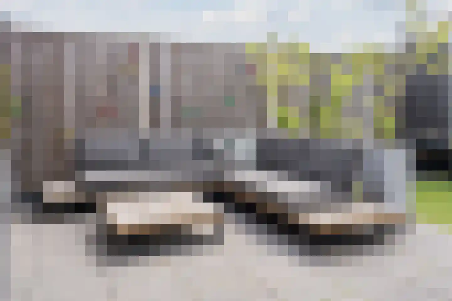 Zilverschat 14 Cuijk thumbnail 34