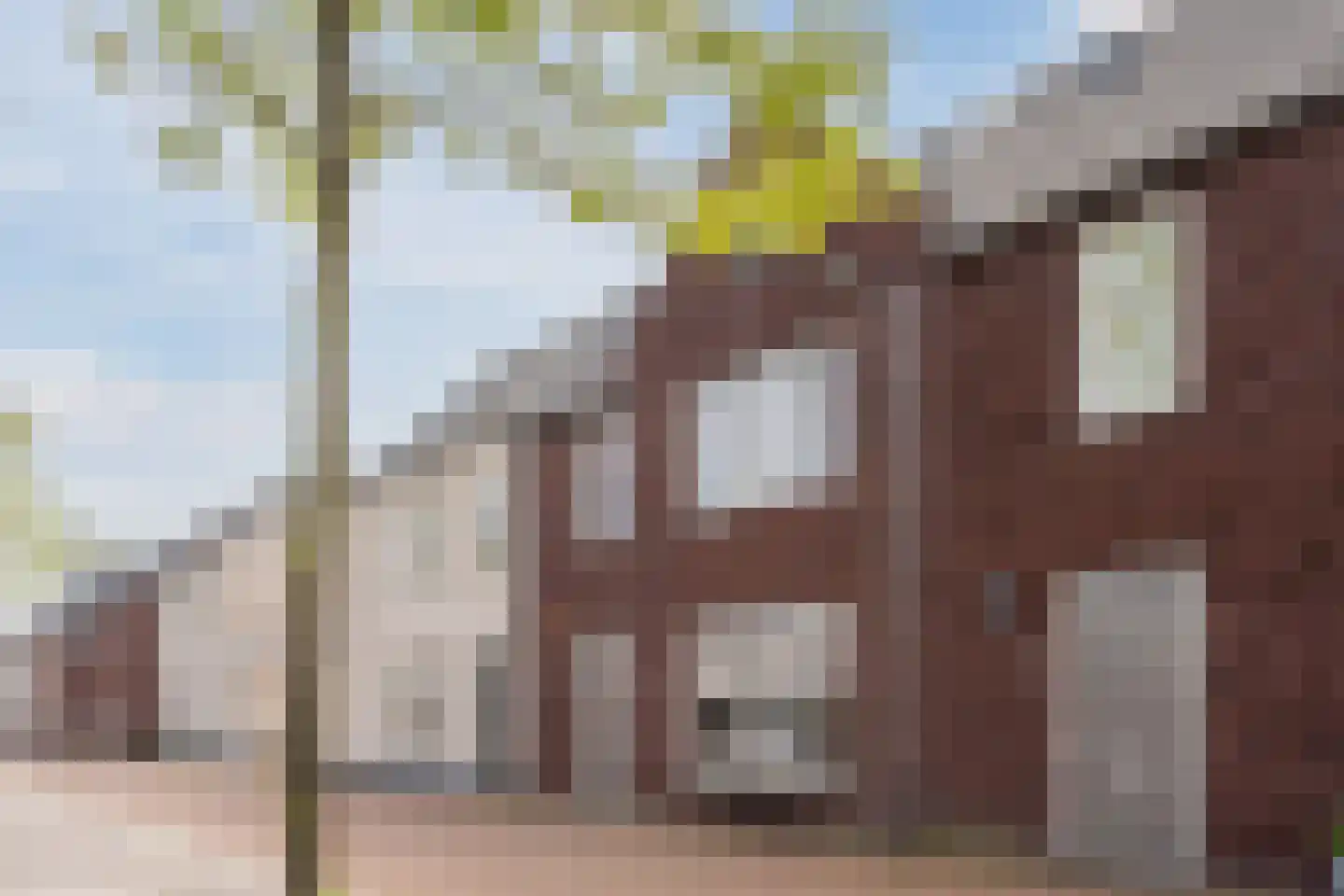 Zilverschat 14 Cuijk thumbnail 35