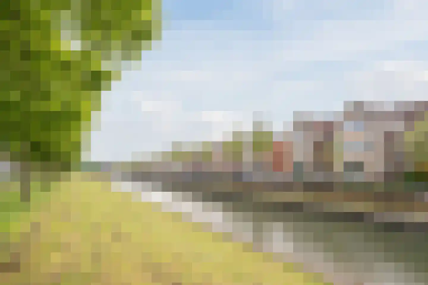 Zilverschat 14 Cuijk thumbnail 36