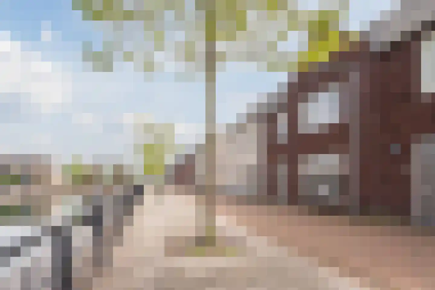 Zilverschat 14 Cuijk thumbnail 5