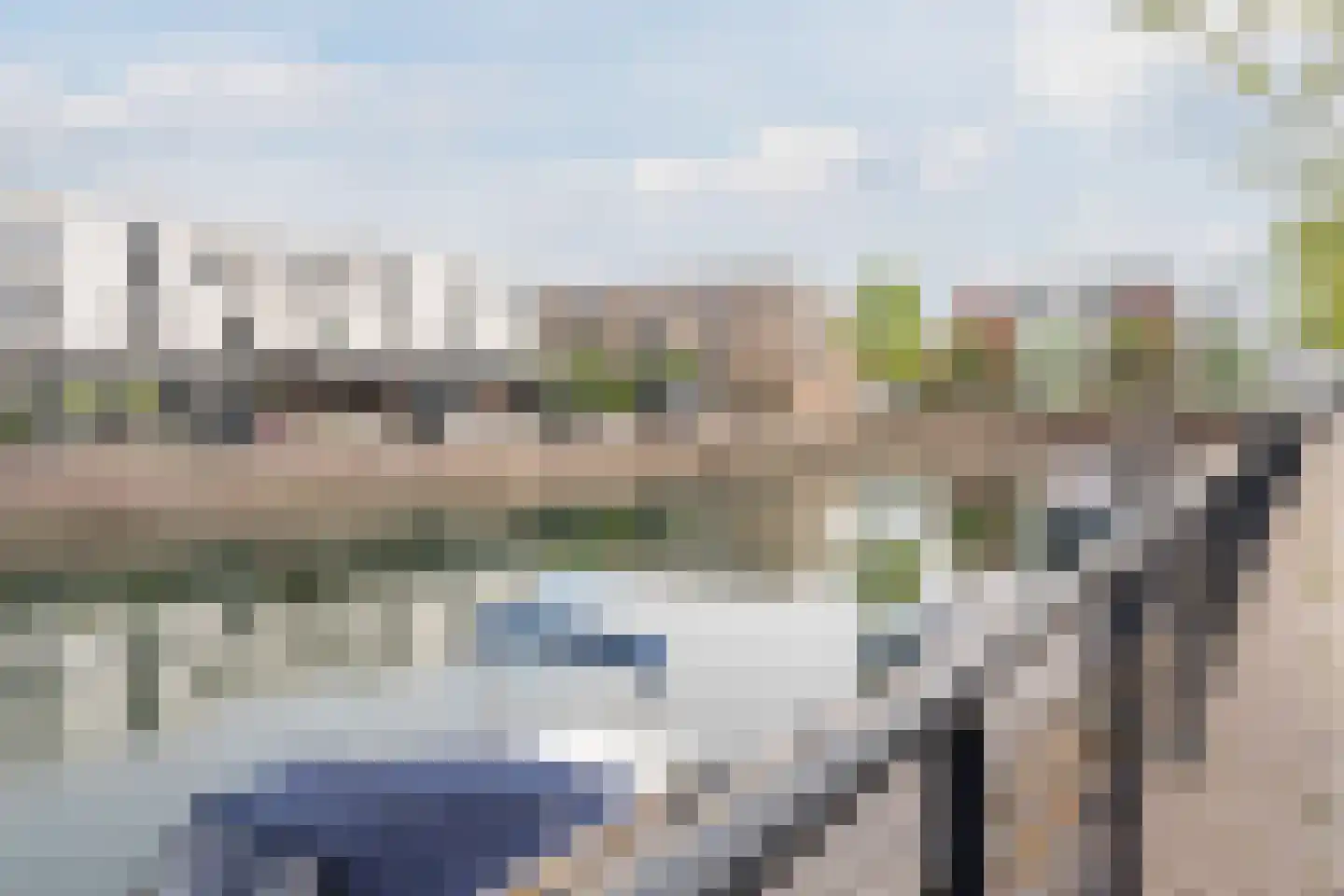 Zilverschat 14 Cuijk thumbnail 6