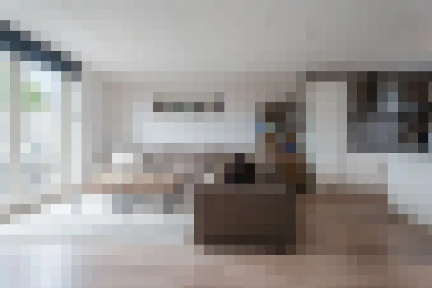 Zilverschat 14 Cuijk thumbnail 7