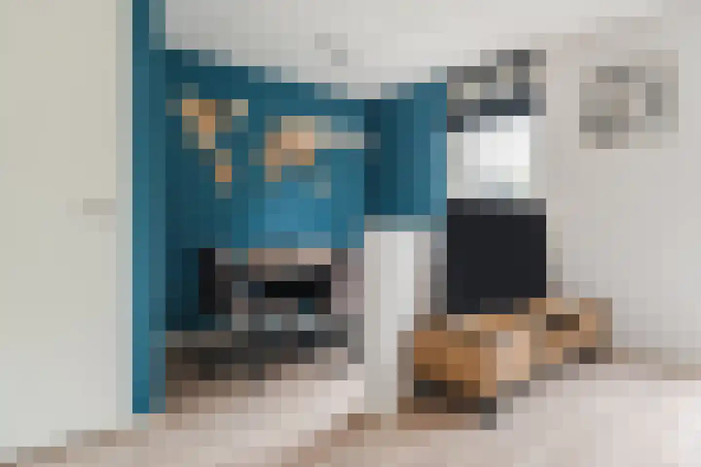 Zilverschat 14 Cuijk thumbnail 8