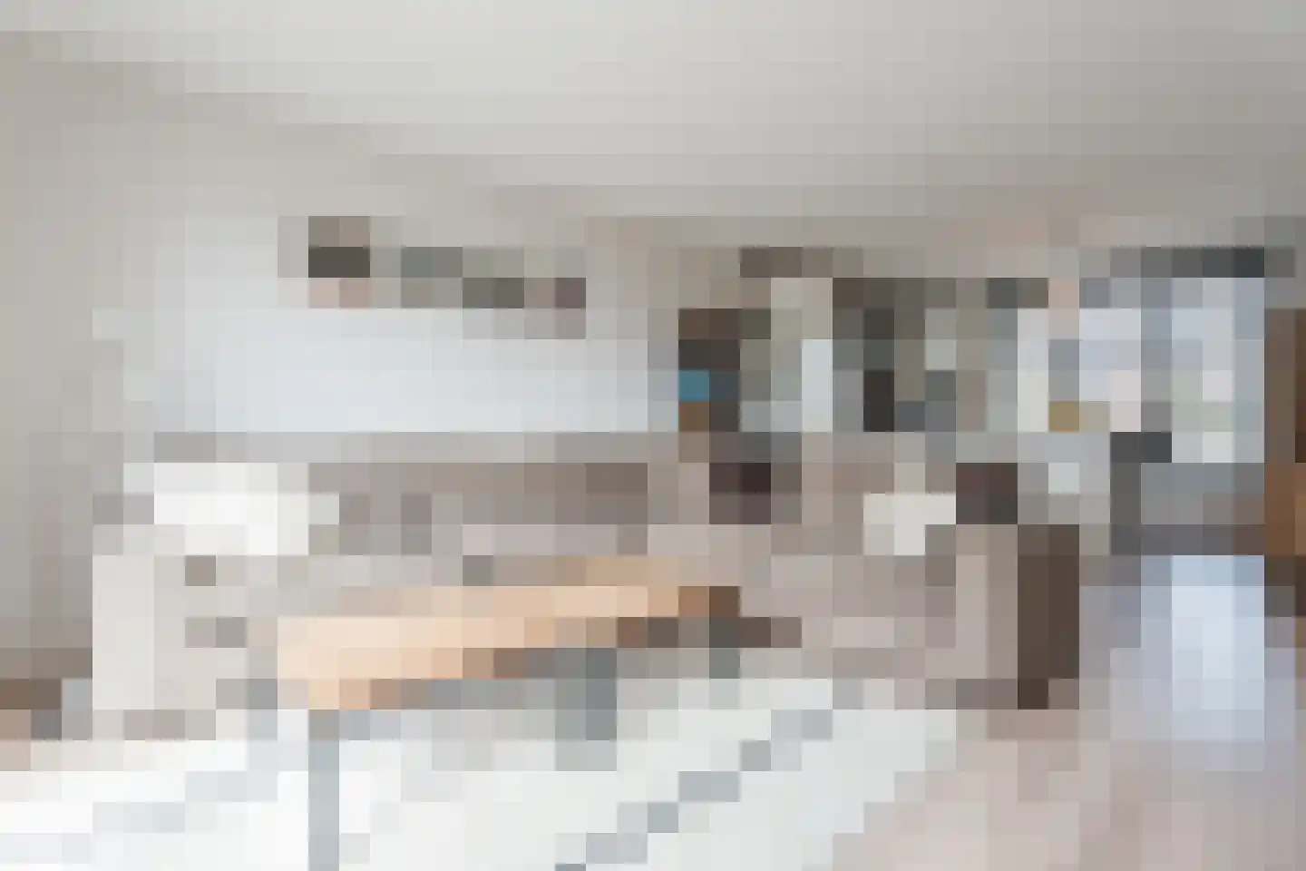 Zilverschat 14 Cuijk thumbnail 9