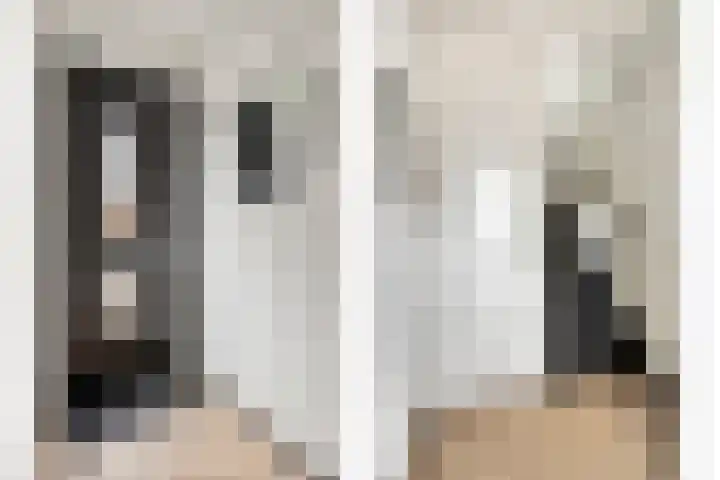 Zilverschat 45 Cuijk thumbnail 10