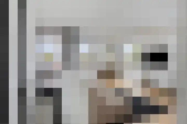 Zilverschat 45 Cuijk thumbnail 11