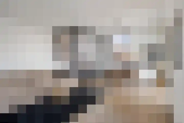 Zilverschat 45 Cuijk thumbnail 12