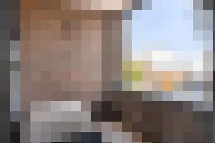 Zilverschat 45 Cuijk thumbnail 13