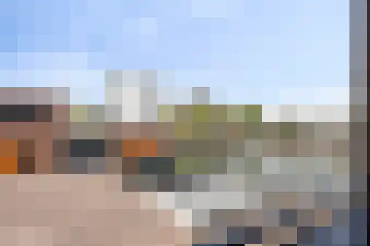 Zilverschat 45 Cuijk thumbnail 14