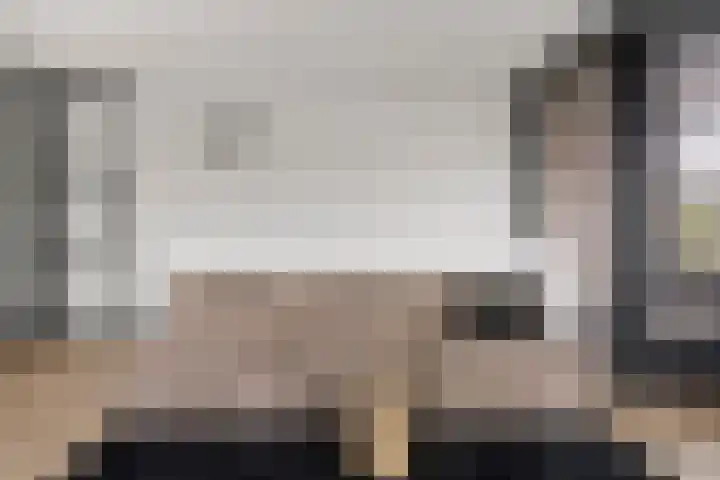 Zilverschat 45 Cuijk thumbnail 15