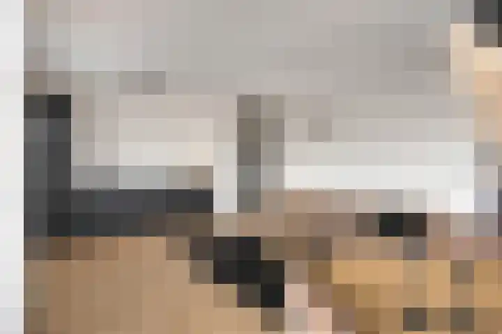 Zilverschat 45 Cuijk thumbnail 16