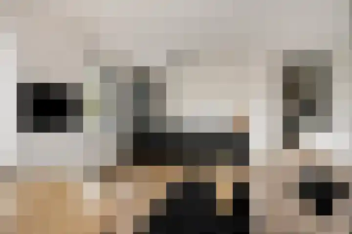 Zilverschat 45 Cuijk thumbnail 17
