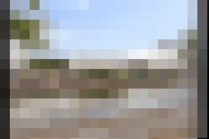 Zilverschat 45 Cuijk thumbnail 19