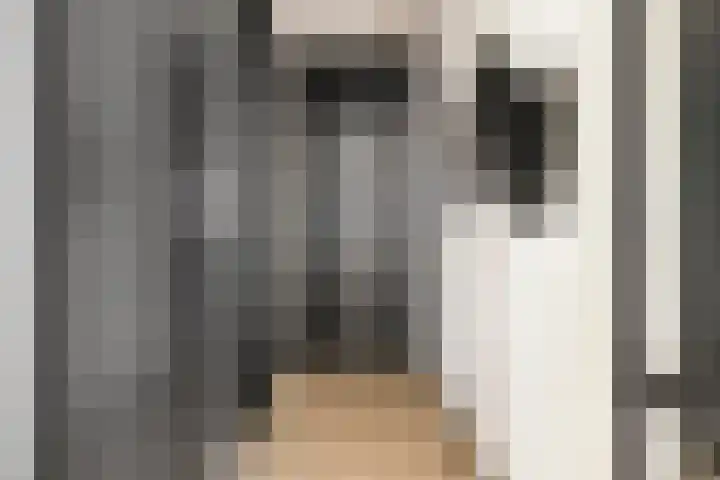 Zilverschat 45 Cuijk thumbnail 20