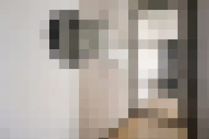 Zilverschat 45 Cuijk thumbnail 21